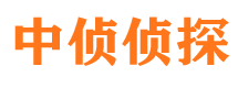 新乐侦探公司